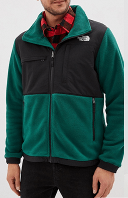 The North Face Олимпийка мягкая The North Face Denali Jacket 2