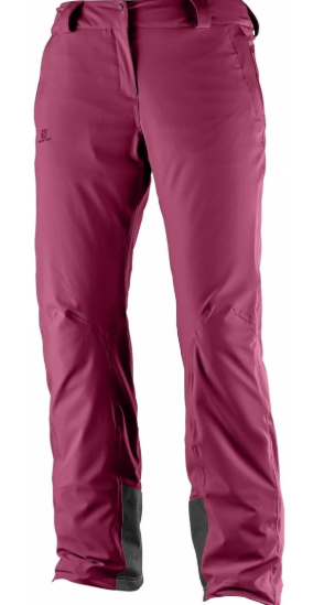 Salomon Спортивные брюки для женщин Salomon Icemania Pant W