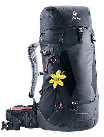 Deuter Рюкзак женский для походов Deuter Futura 24 SL