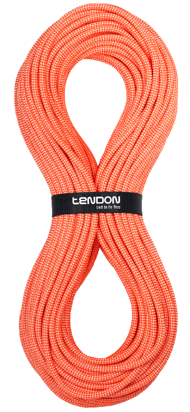 Tendon Износостойкая веревка Tendon Canyon Dry 9.0