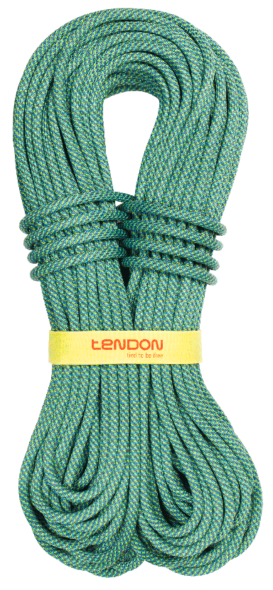 Tendon Прочная веревка Tendon Master 9.4 Standard