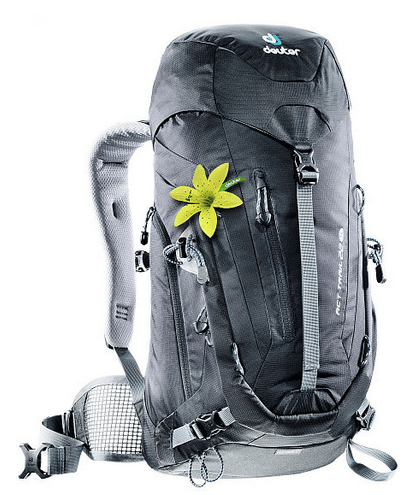 Deuter Рюкзак скалолазный для девушек Deuter ACT Trail 22 SL