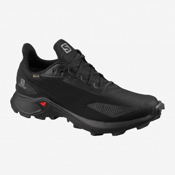 Salomon Кроссовки с мембраной Salomon Alphacross Blast GTX