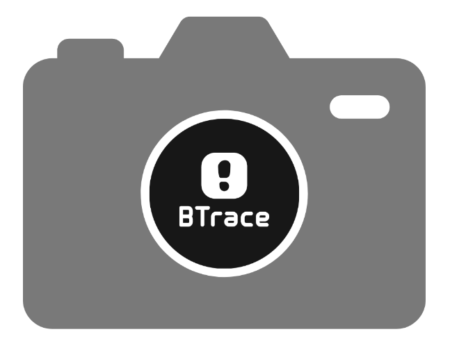 BTrace Гермобаул BTrace Bull